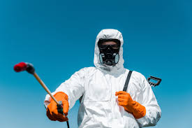 Best Pest Prevention Services  in Lake Havasu City, AZ